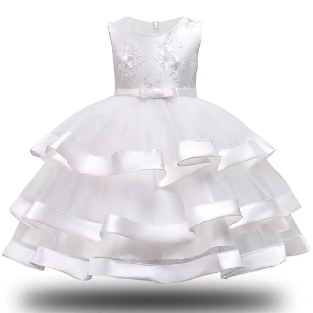 Girls Elegant Dresses