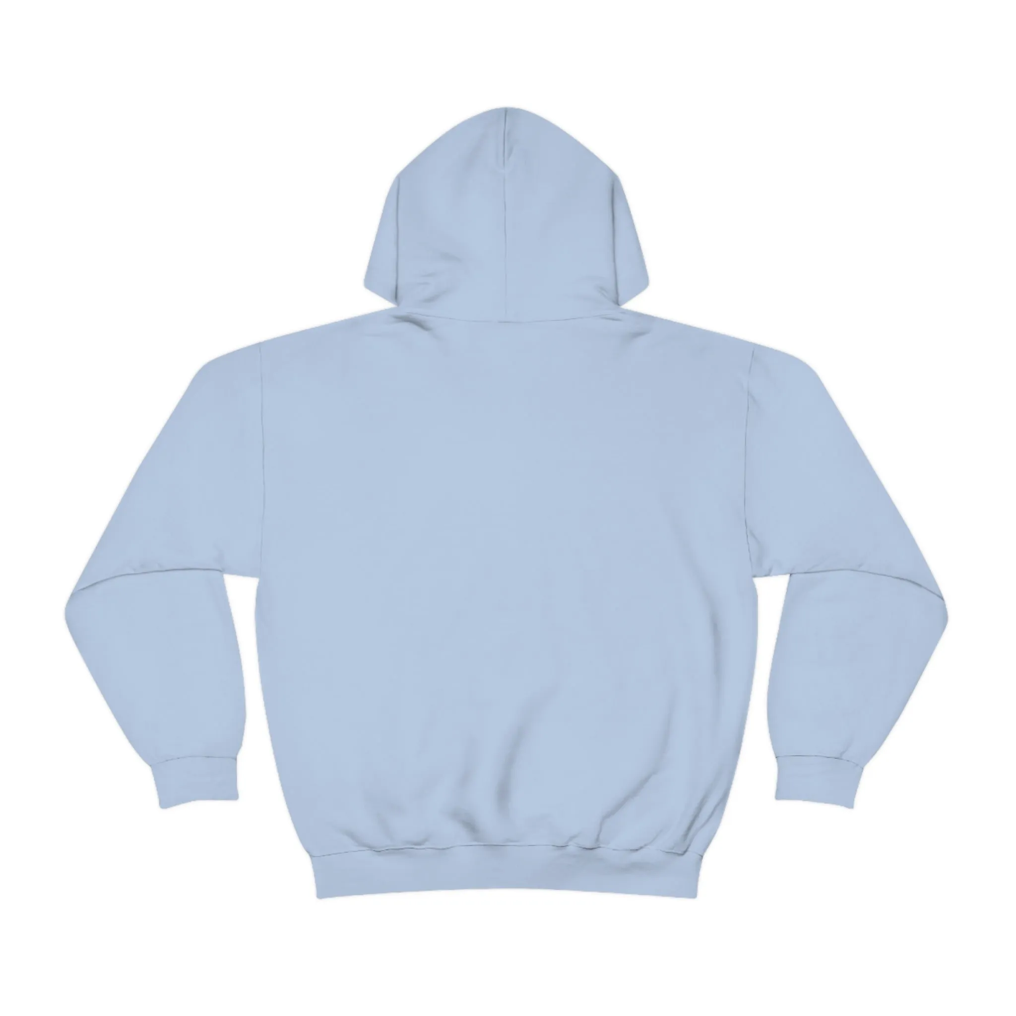 Stressed and Distressed Hooded Sweatshirts (Light Colors)